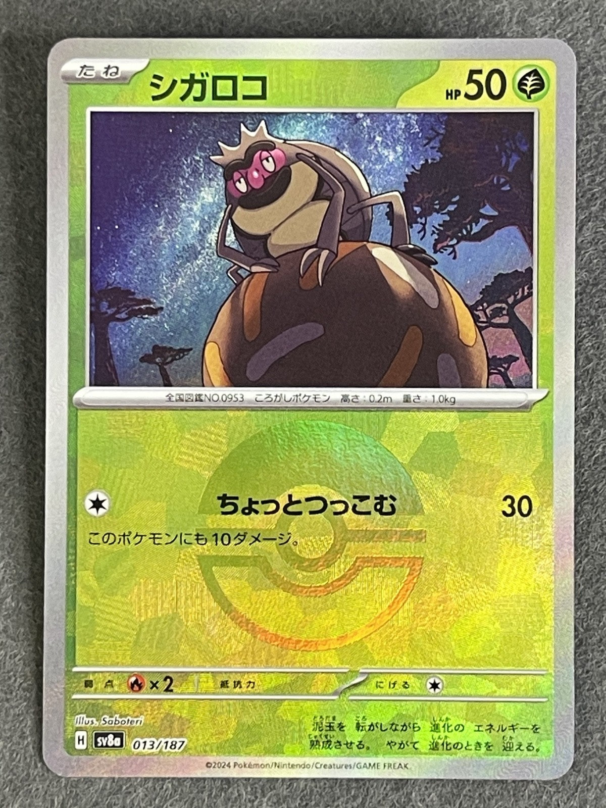 Rellor 2024 Terastal Festival (JP) #013/187 Near Mint
