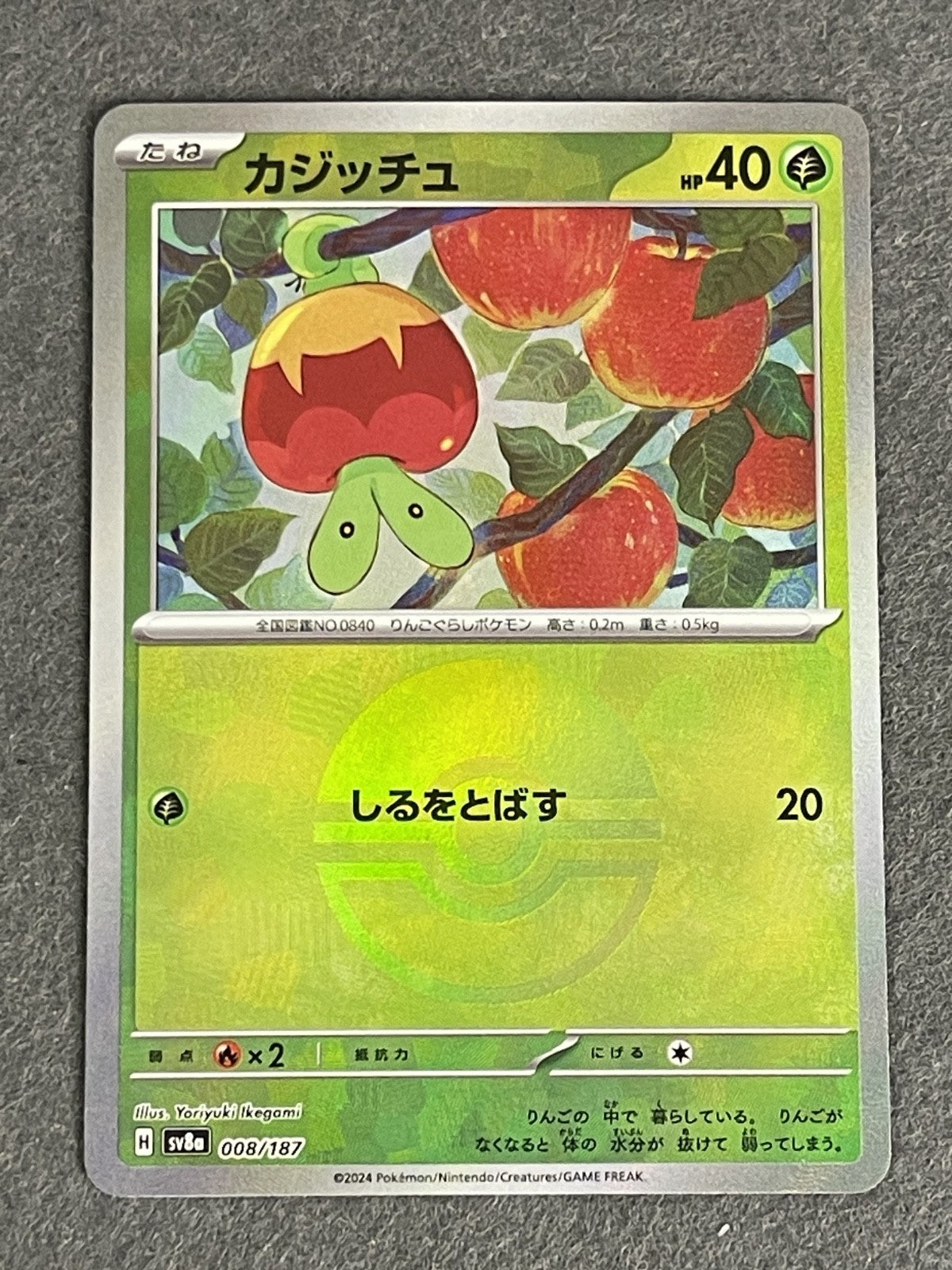 Applin 2024 Terastal Festival (JP) #008/187 Near Mint