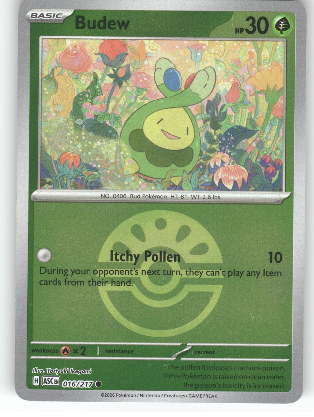 Budew - (Friend Ball) Reverse Holo Common ME: Ascended Heroes 016/217 NM