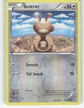Sentret Reverse Holo Common XY - Flashfire 81/106 NM