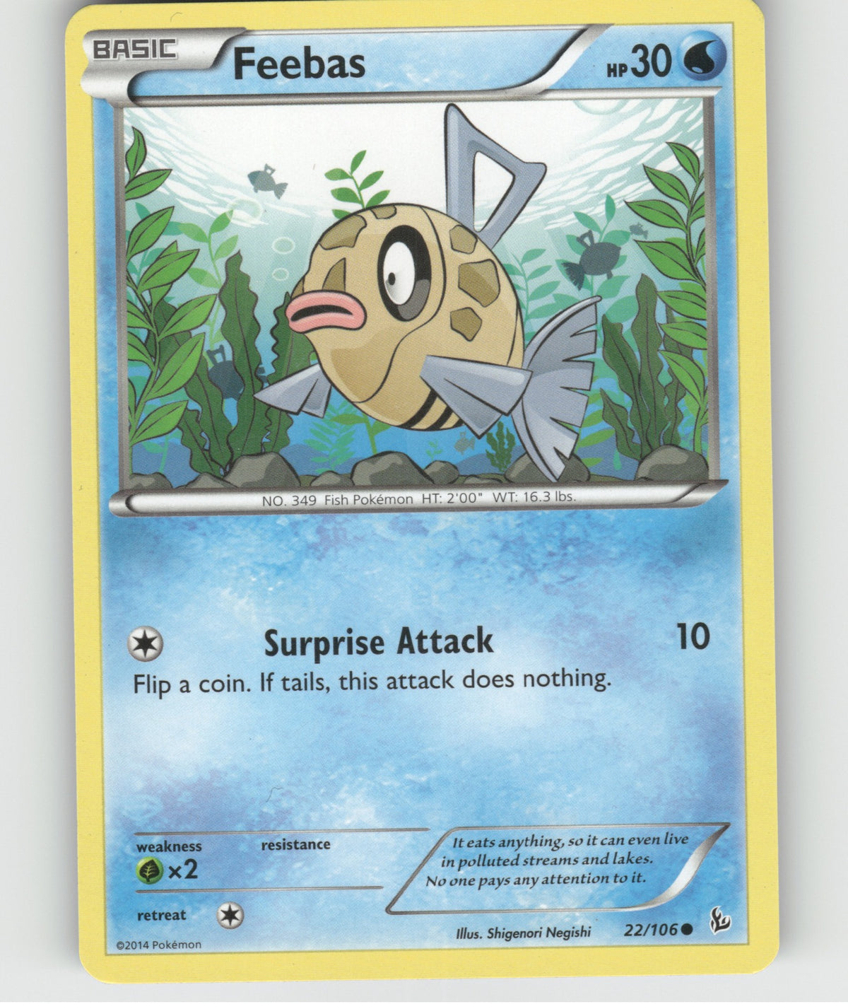 Feebas Common XY - Flashfire 22/106 NM