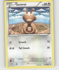 Sentret Common XY - Flashfire 81/106 NM