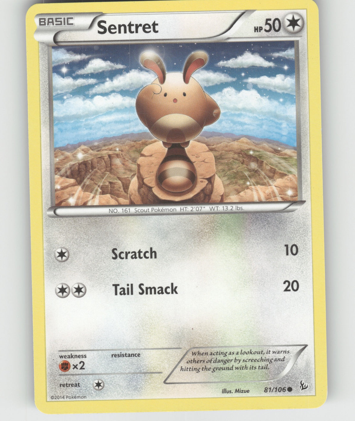 Sentret Common XY - Flashfire 81/106 NM
