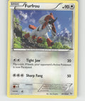 Furfrou Uncommon XY - Flashfire 87/106 NM