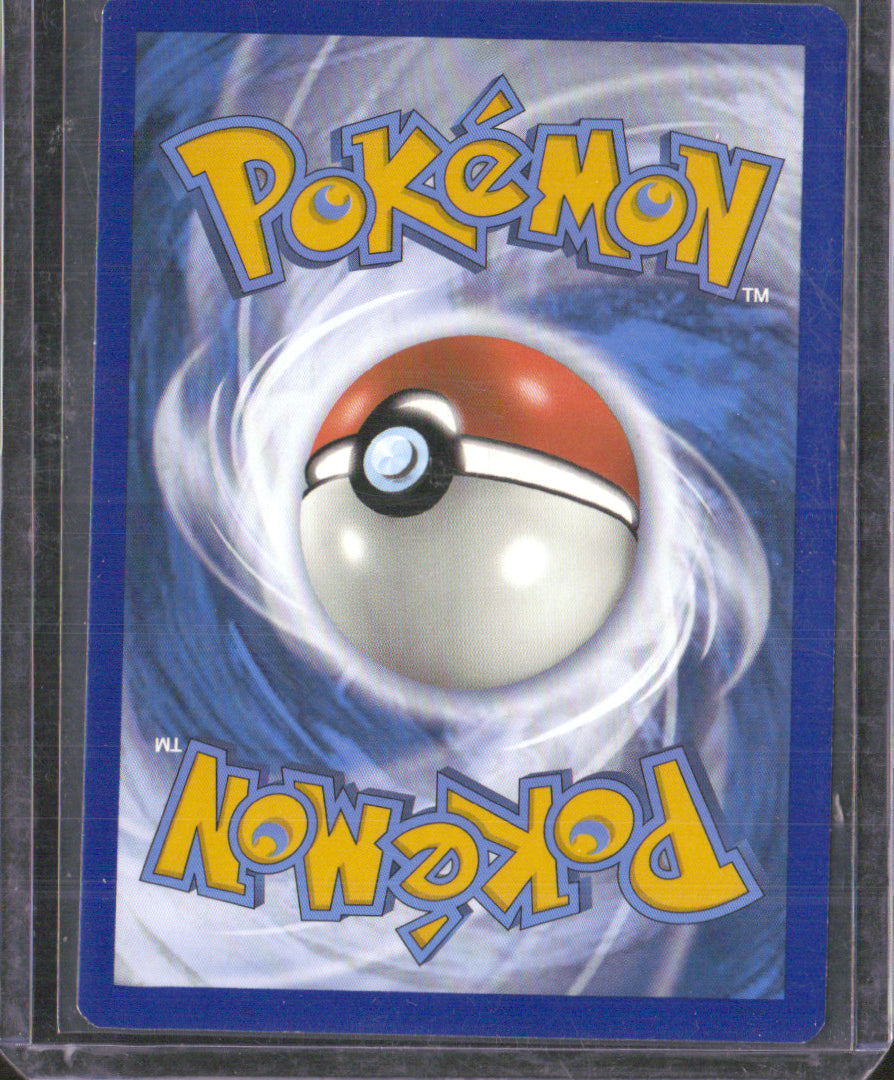 Zapdos Holo Holo Rare Pokemon GO 029/078 NM (Back)
