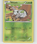 Nincada Reverse Holo Common XY - Roaring Skies 9/108 DMG