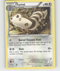 Furret Rare XY - Flashfire 82/106 NM