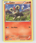 Litleo (19) Common XY - Flashfire 19/106 NM