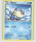 Spheal Common XY - Flashfire 24/106 NM