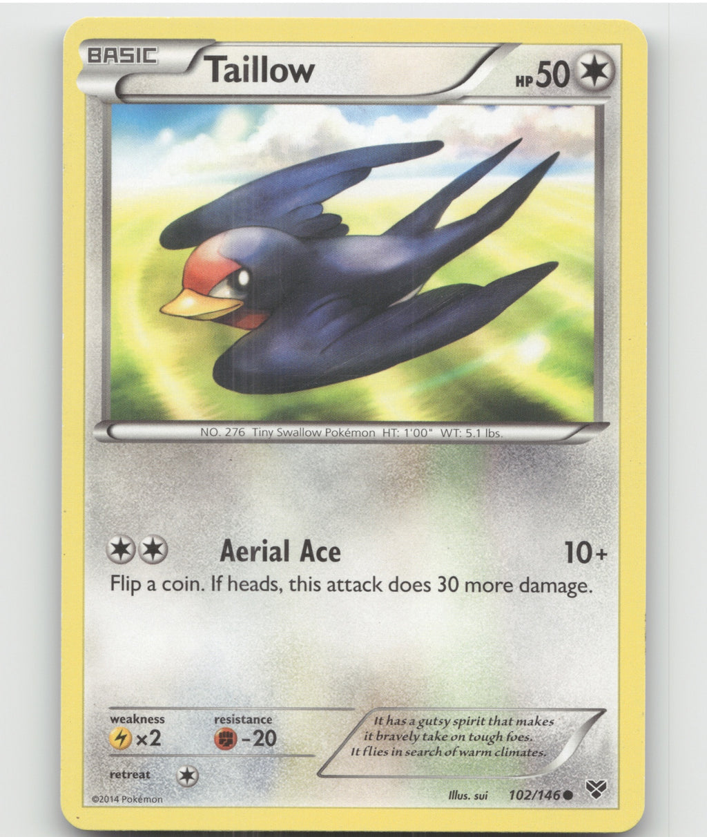 Taillow Common XY Base Set 102/146 LP