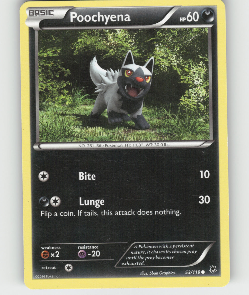 Poochyena Common Legends Awakened 116/146 NM