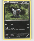 Poochyena Common Legends Awakened 116/146 NM