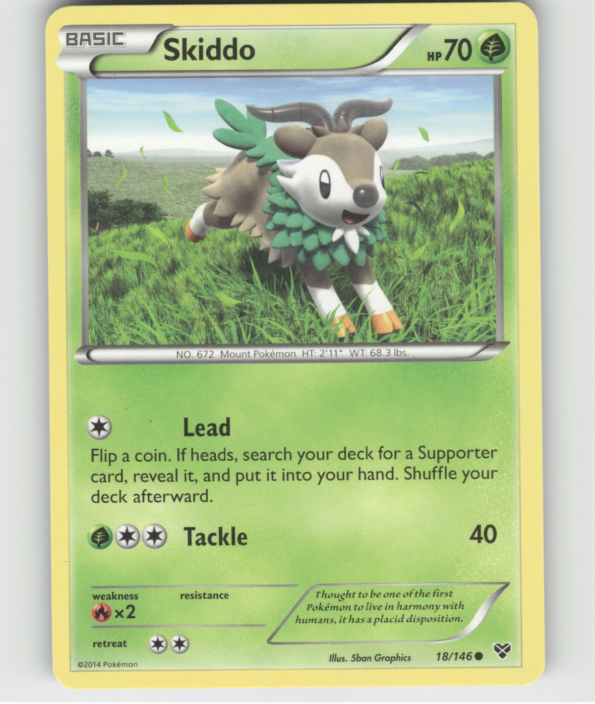 Skiddo Common XY Base Set 18/146 LP
