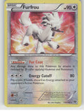 Furfrou Reverse Holo Holo Rare XY Base Set 114/146 NM