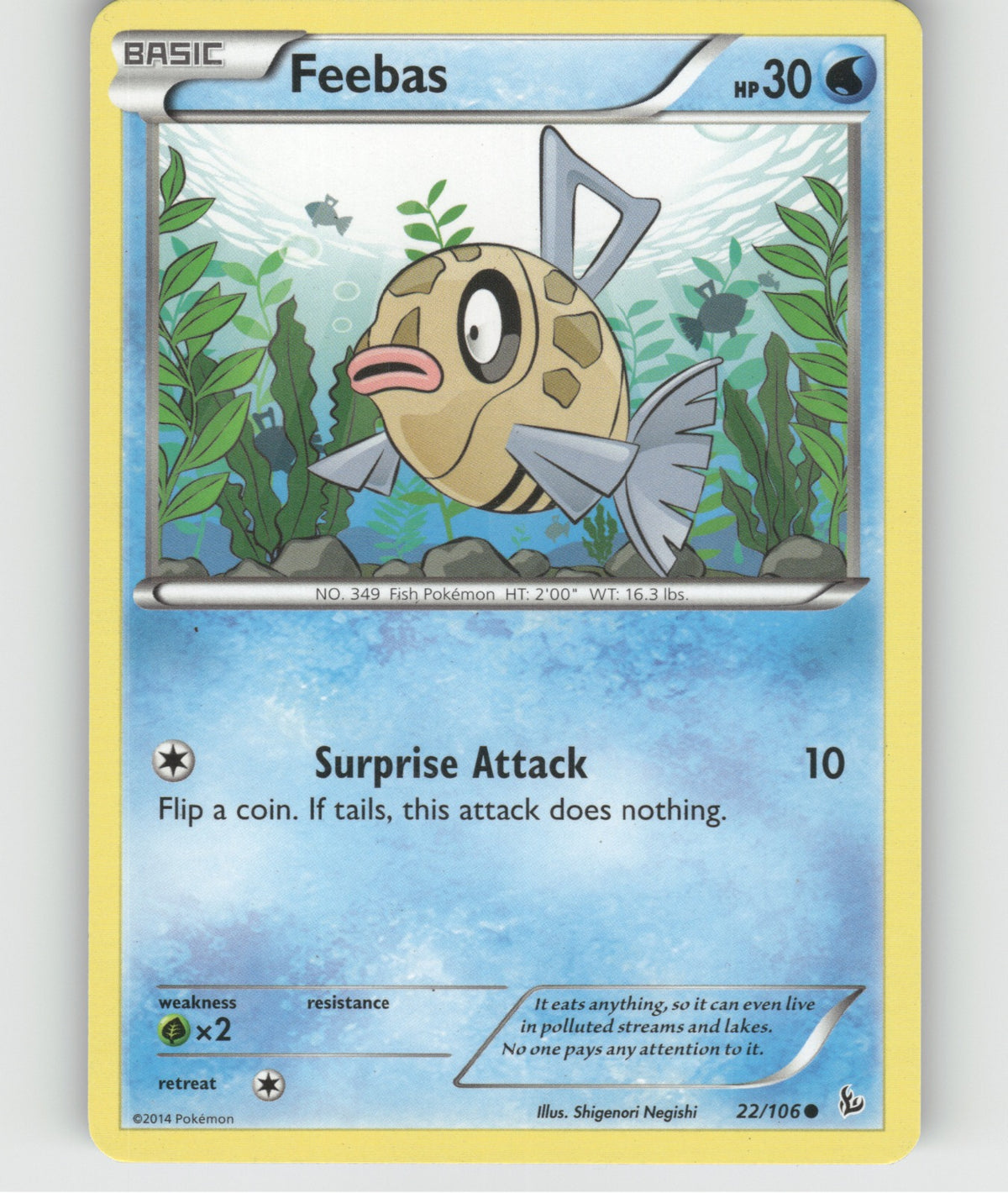Feebas Common XY - Flashfire 22/106 NM