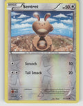 Sentret Reverse Holo Common XY - Flashfire 81/106 NM