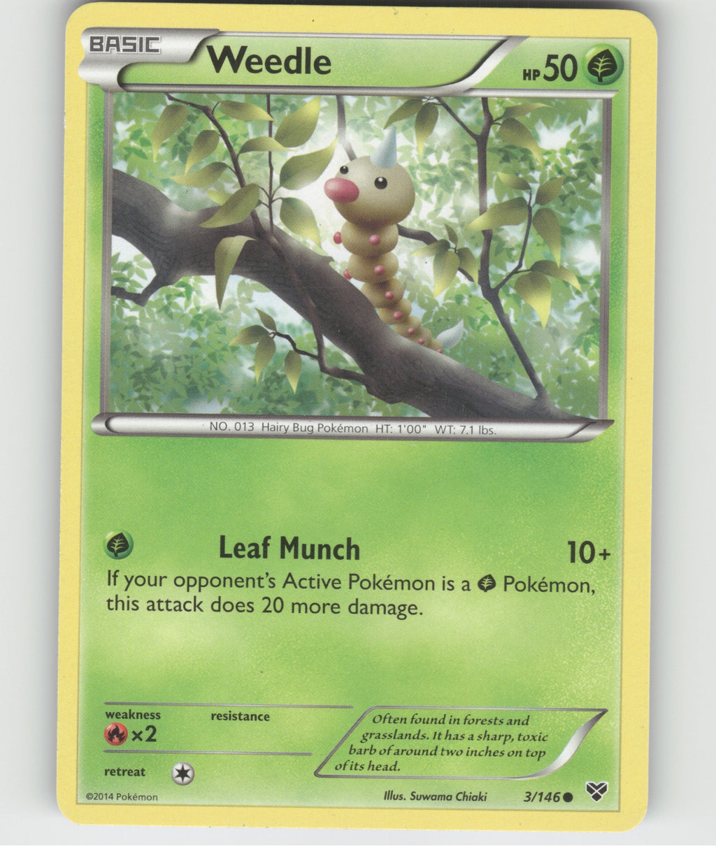 Weedle Common XY Base Set 3/146 LP