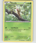 Weedle Common XY Base Set 3/146 LP