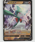 Gallade V Holo Promo SWSH: Sword & Shield Promo Cards SWSH258 NM