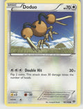 Doduo Common XY Base Set 98/146 NM