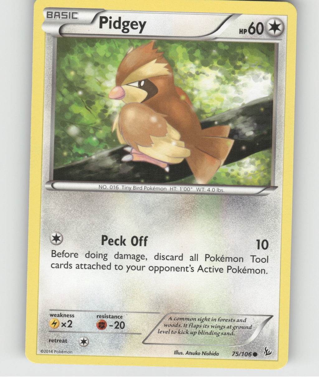 Pidgey Common XY - Flashfire 75/106 NM