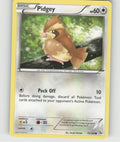 Pidgey Common XY - Flashfire 75/106 NM