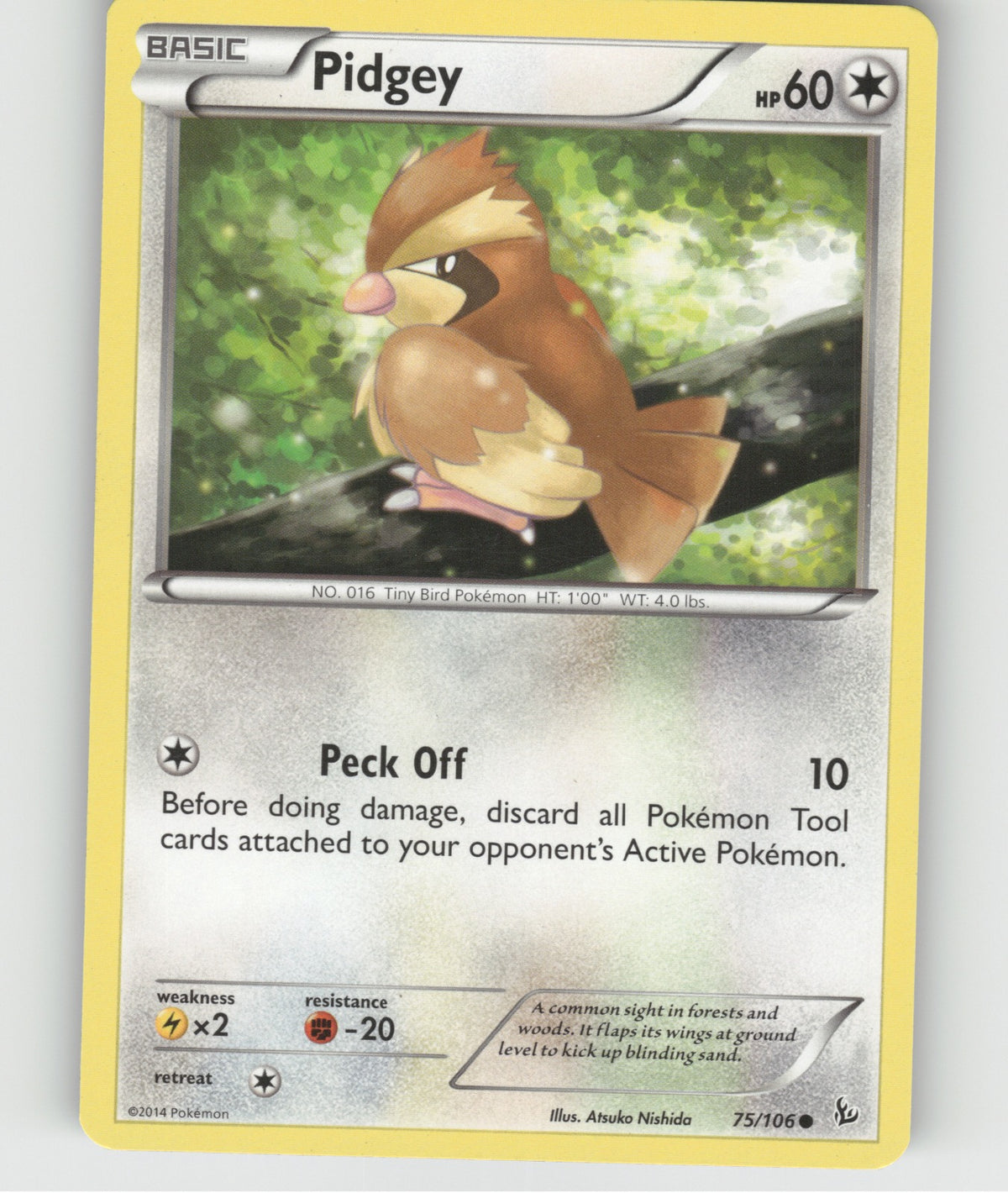 Pidgey Common XY - Flashfire 75/106 NM