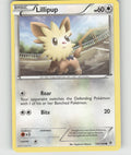 Lillipup Common Boundaries Crossed 120/149 NM