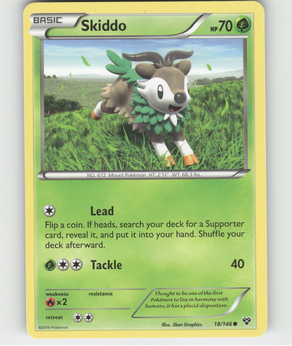 Skiddo Common XY Base Set 18/146 LP