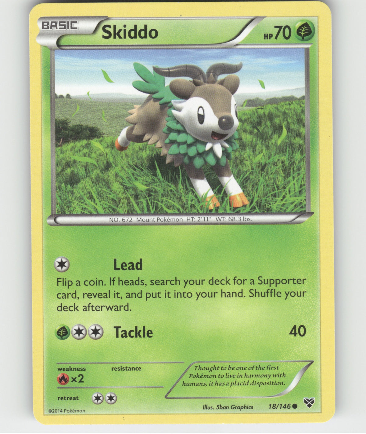 Skiddo Common XY Base Set 18/146 LP