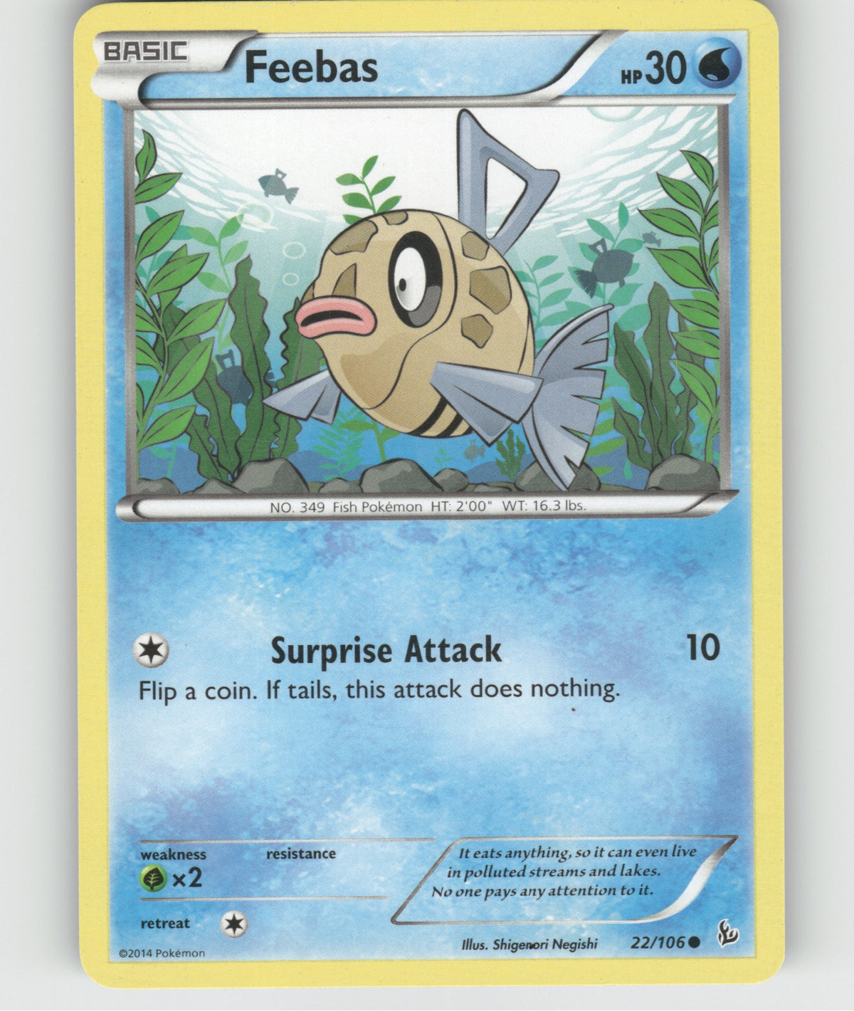 Feebas Common XY - Flashfire 22/106 NM