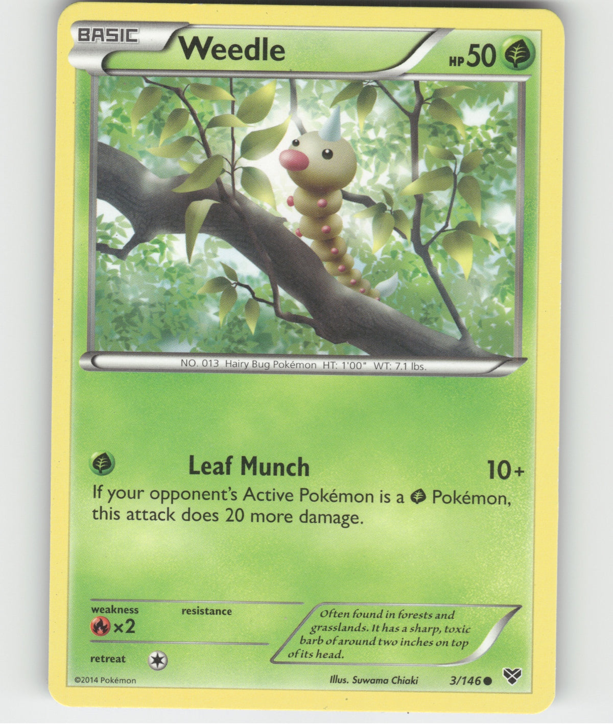 Weedle Common XY Base Set 3/146 LP