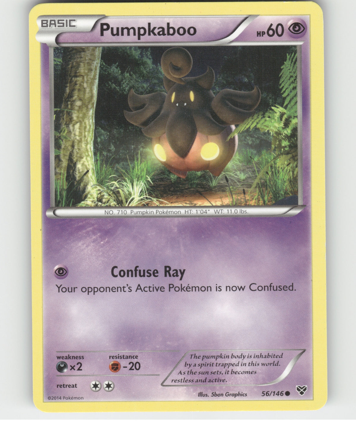 Pumpkaboo Common XY Base Set 56/146 LP