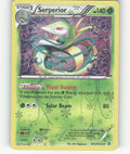Serperior Holo Uncommon Legendary Treasures: Radiant Collection RC3/RC25 NM