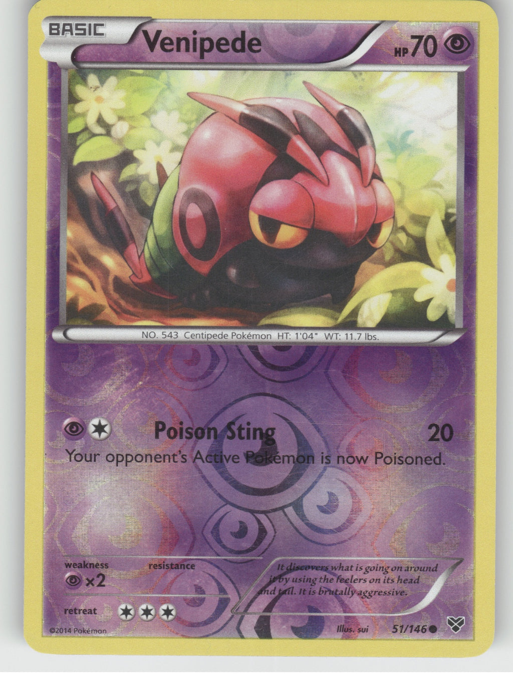 Venipede Reverse Holo Common XY Base Set 51/146 NM
