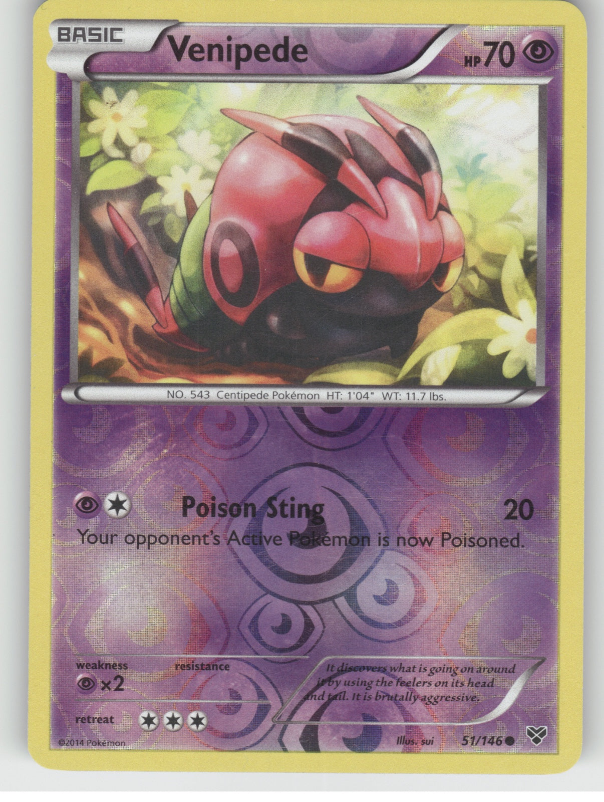 Venipede Reverse Holo Common XY Base Set 51/146 NM