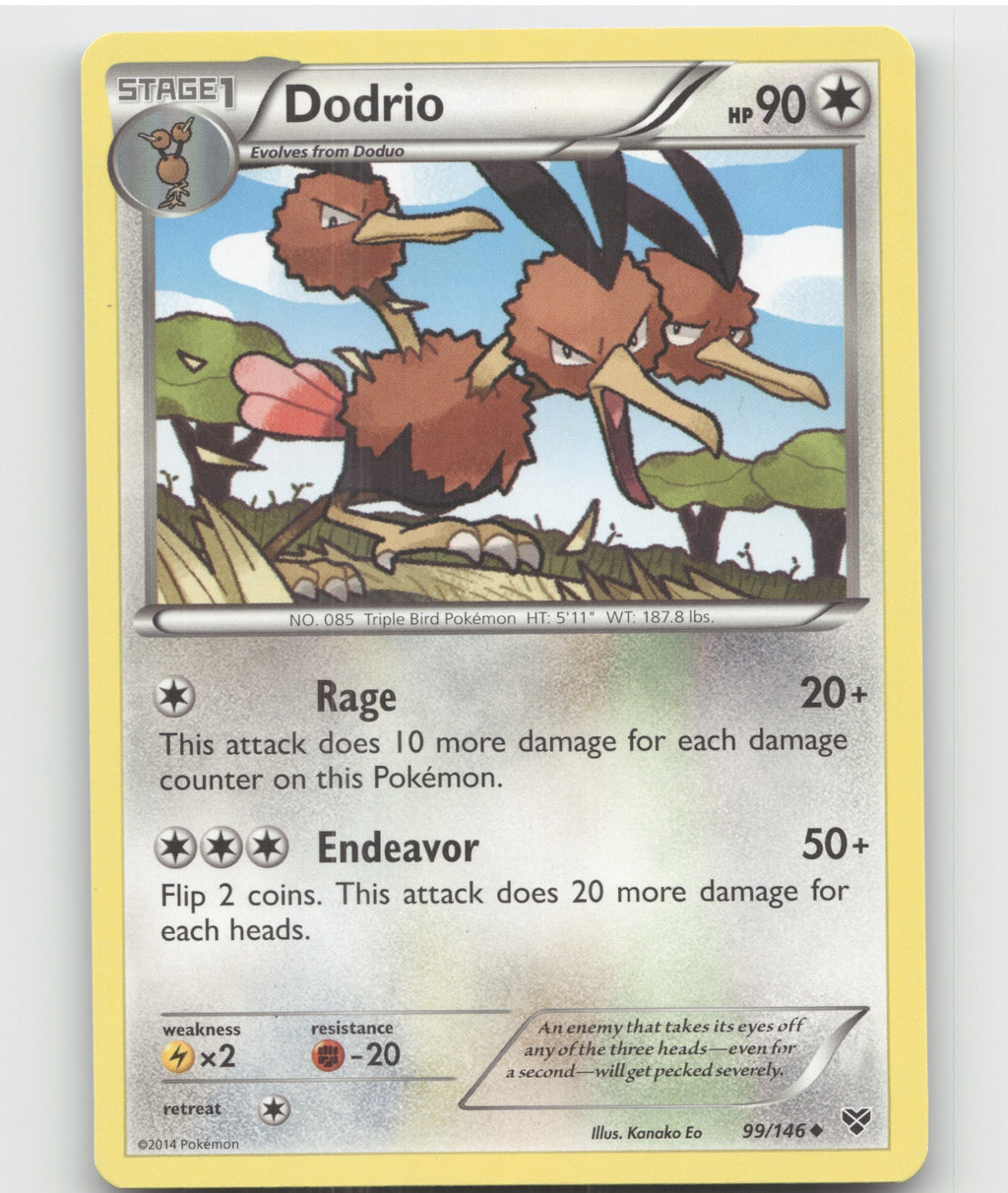 Dodrio Uncommon XY Base Set 99/146 LP
