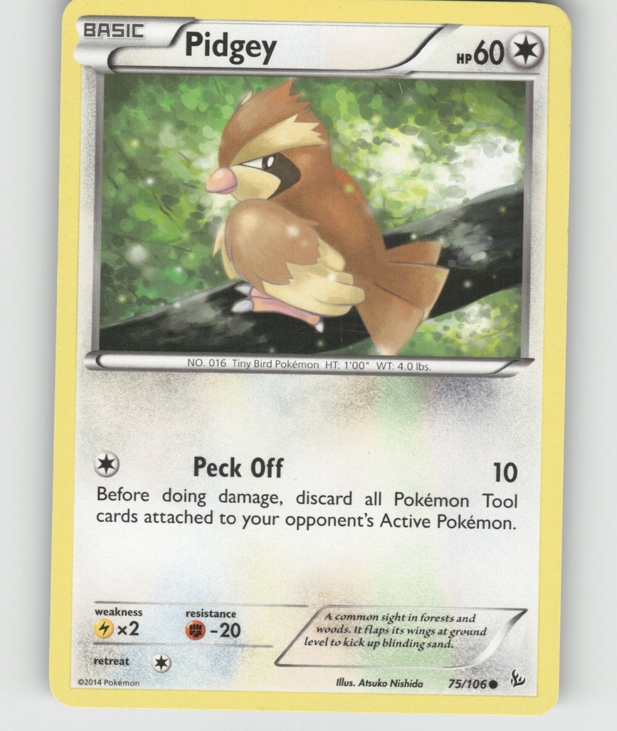 Pidgey Common XY - Flashfire 75/106 NM