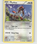 Furfrou Uncommon XY - Flashfire 87/106 NM
