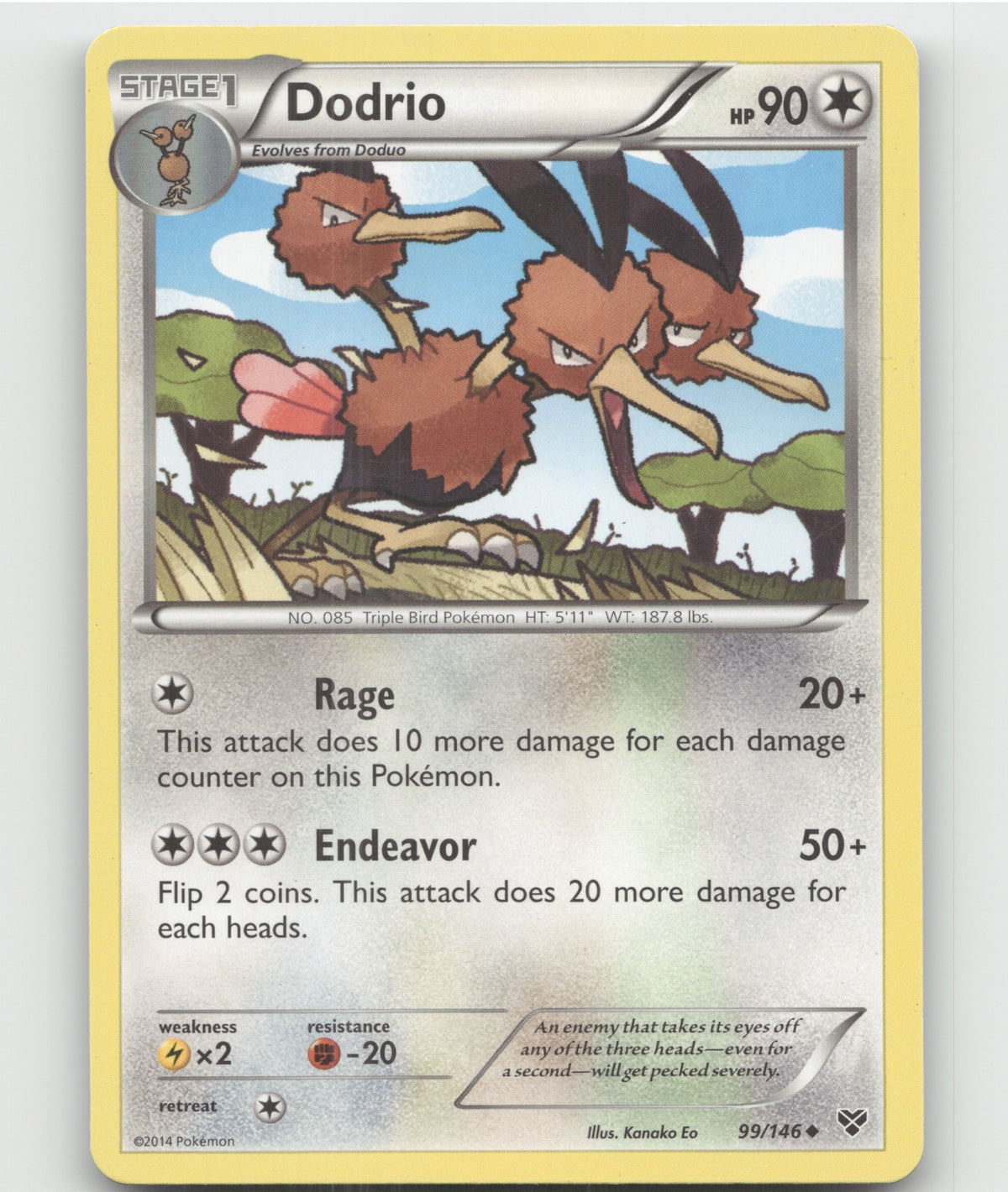 Dodrio Uncommon XY Base Set 99/146 LP