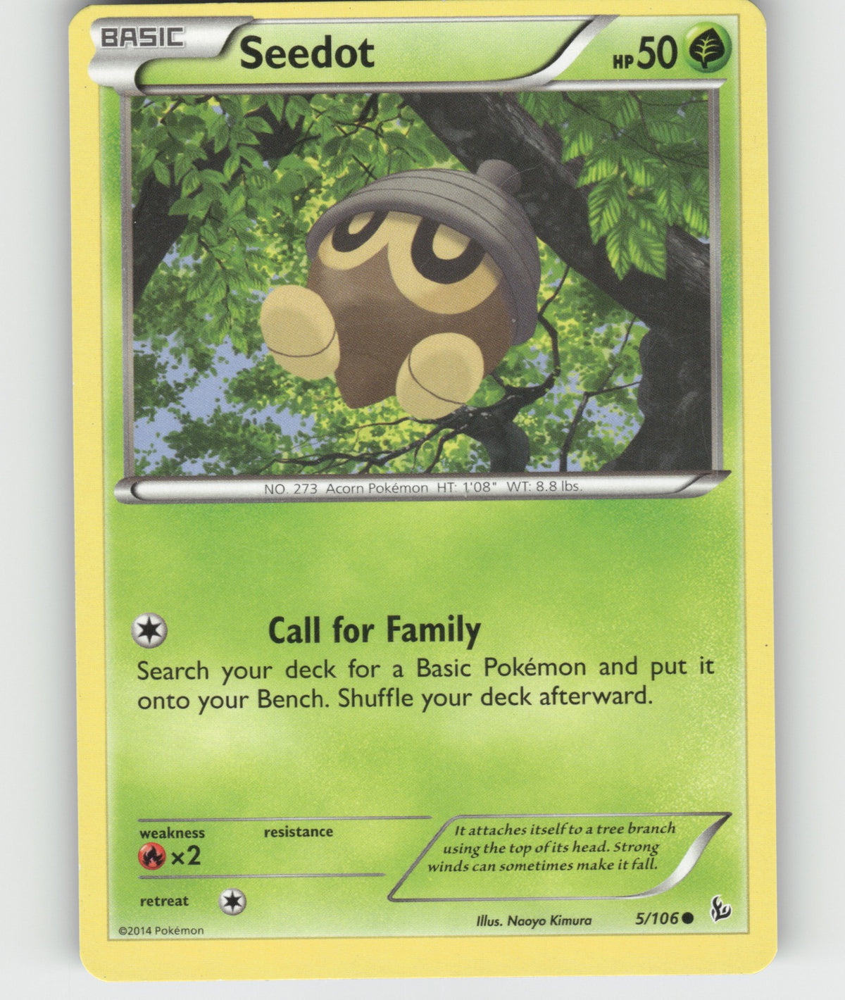 Seedot Common XY - Flashfire 5/106 NM