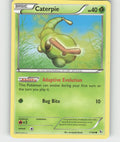 Caterpie Common XY - Flashfire 1/106 NM