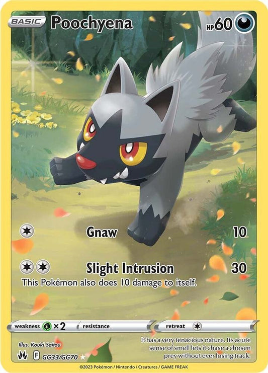 Poochyena - Crown Zenith: Galarian Gallery (CRZ:GG)