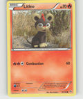 Litleo (18) Common XY - Flashfire 18/106 NM