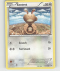 Sentret Common XY - Flashfire 81/106 NM