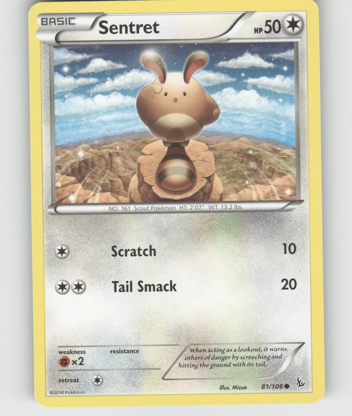 Sentret Common XY - Flashfire 81/106 NM