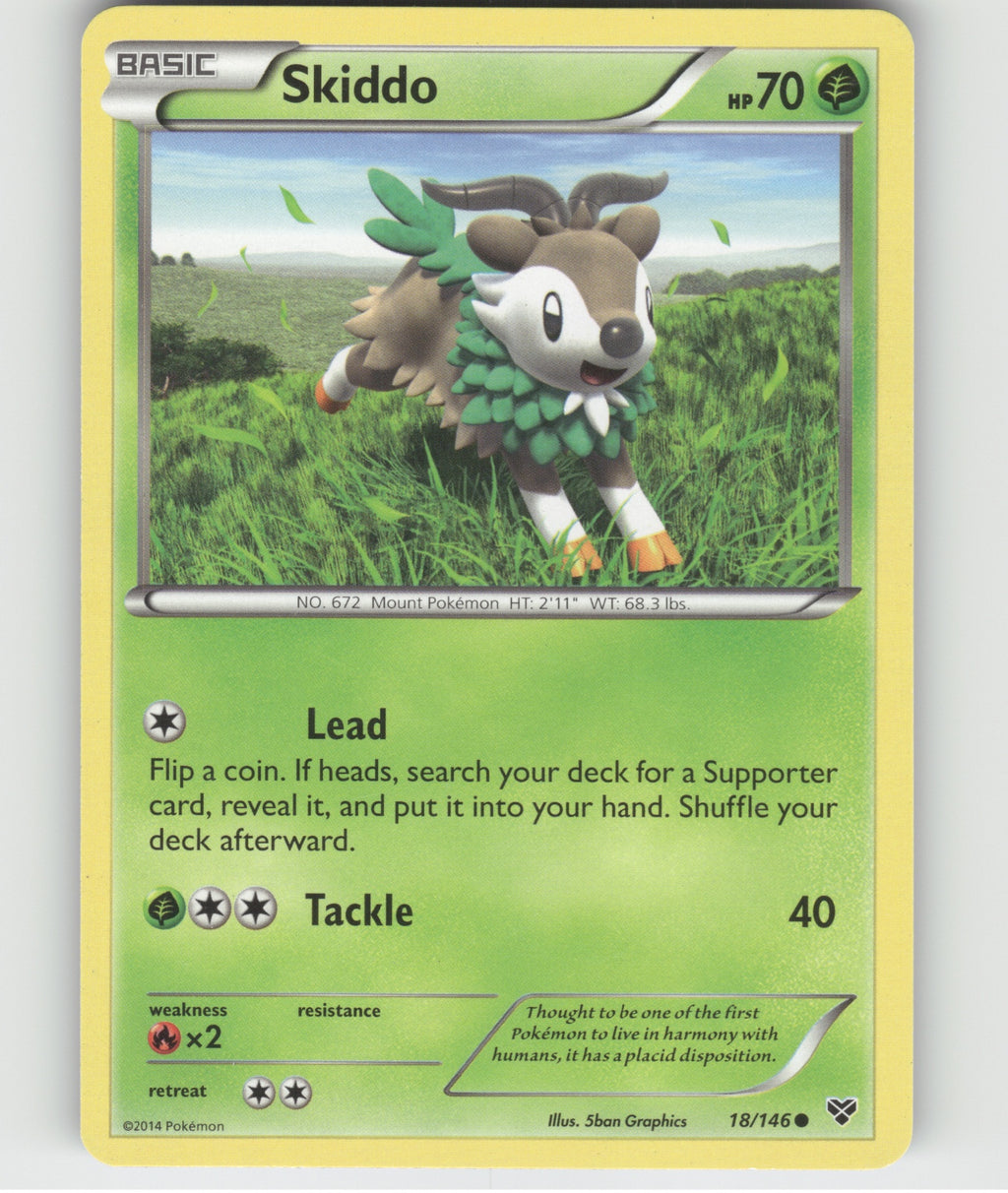 Skiddo Common XY Base Set 18/146 LP