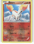 Ponyta Reverse Holo Common Generations 14/83 NM