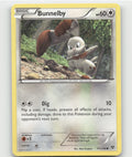Bunnelby Common XY Base Set 111/146 LP