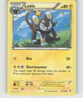 Luxio Uncommon XY - Flashfire 33/106 NM